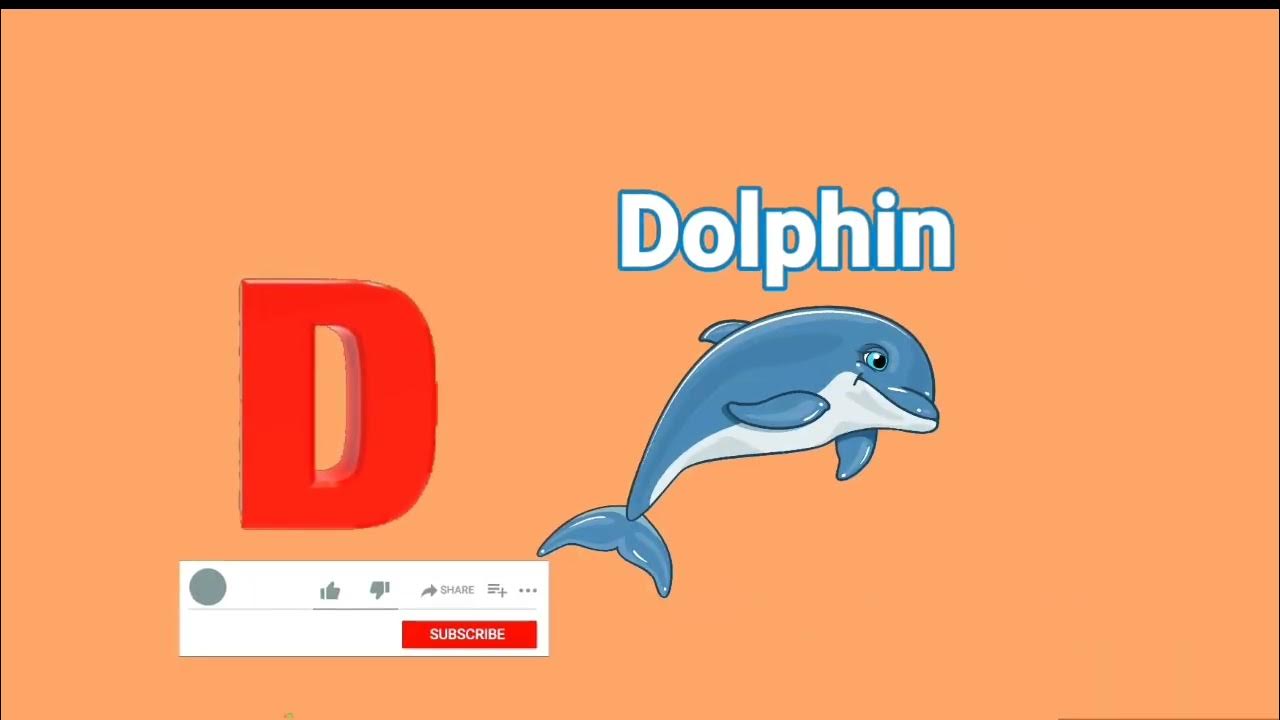 Alphabet letter D#D for 🐶, 🥁, for kids - YouTube