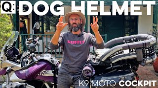 ⚼:﹕Can I get a safety helmet for my dog to wear while riding?