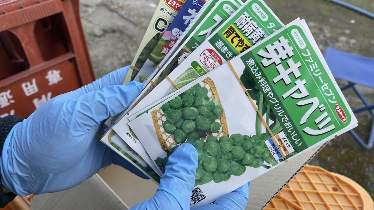 7月にまく家庭菜園オススメ野菜の種7選・専業農家直伝 21/7/17 - YouTube