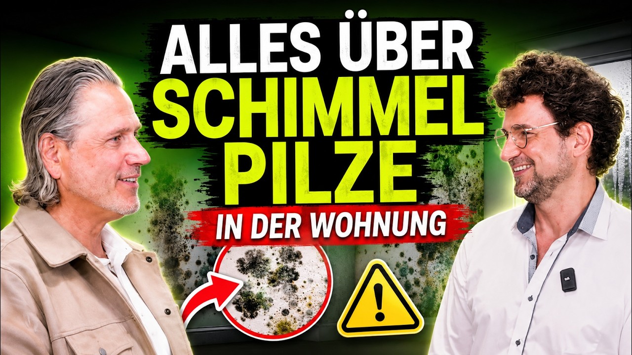 Schimmelpilzentstehung, -bekämpfung und -beseitigung: FeeGespräch mit KSK GmbH
