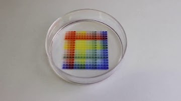 A GRID containing many micro-chambers with fluid walls survives violent agitation