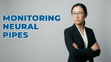 What Tools Monitor Neural Data Processing Pipelines?