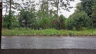 Rainy Day Thanks God For The Rain