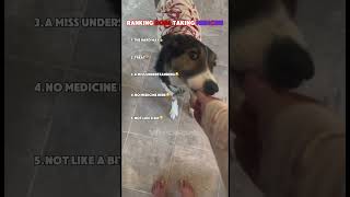 RANKING DOGS TAKING MEDICINE🐾😂#shorts #funny #dogs