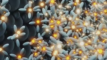 Understanding the Formation of the Solid Electrolyte Interphase (SEI) in Lithium-Ion Batteries