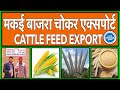 Cattle feed market dubai how to export cattle feed to uae