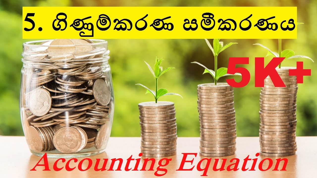 OL Commerce | Grade 10 | Lesson 5 - ගිණුම්කරණ සමීකරණය (Accounting Equation)