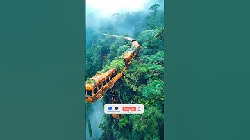 Al Nature Exploration | Amazing Scenery |Giant Python😦#shorts#trending#wow