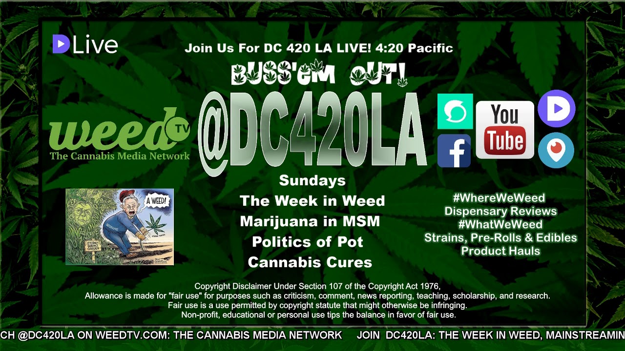 Now on WeedTV & DLive / Steemit @DC420LA: The Week in Weed, Sundays 