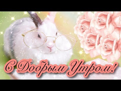 🌄☕🌞ДОБРОГО УТРА И ХОРОШЕГО ДНЯ!!🌞☕🌄