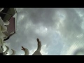 Flock of Ducks vs GoPro