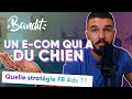 French bandit  analyse de leur stratgie fb ads 