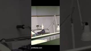 Mahesh Babu With Ileana Pokiri Romantic Scenes