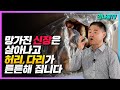 밤 이렇게 드세요~망가진 신장은 살아나고 허리와 다리는 튼튼해집니다.(밤껍질 쉽게 까는 방법)