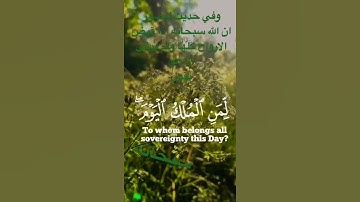 سورة غافر.  للقارئ #سعيد الخطيب