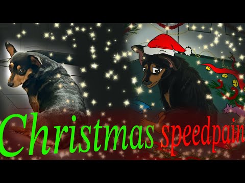 Merry Christmas everybody ￼