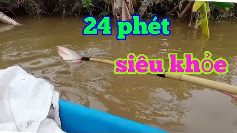 bắt cá kiểu mới quá dễ dàng với kích cá rô phi 24 phét trên sông  lh0362921480