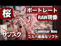 桜でのポートレート写真をRAW現像!コスパ最高のLuminar NEO で100枚を編集しまーす!