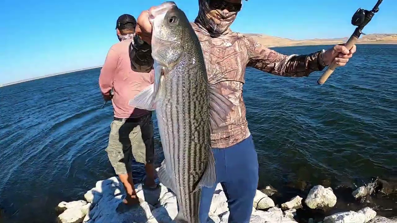 San Luis Reservoir Striper Fishing!!!! [2022] YouTube