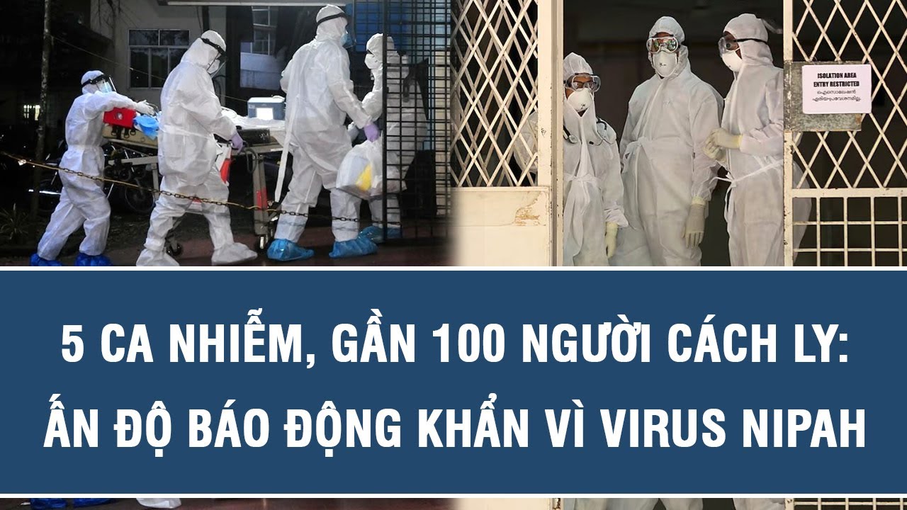 5 ca nhiễm, gần 100 người cách ly: Ấn Độ báo động khẩn vì virus Nipah ...