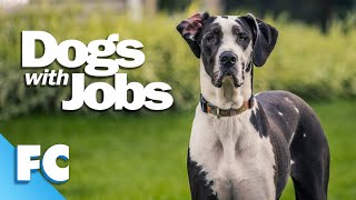 Dogs With Jobs | S2E05: Ginny: The Dog Who Rescues Cats | Full Animal Documentary TV Show | FC