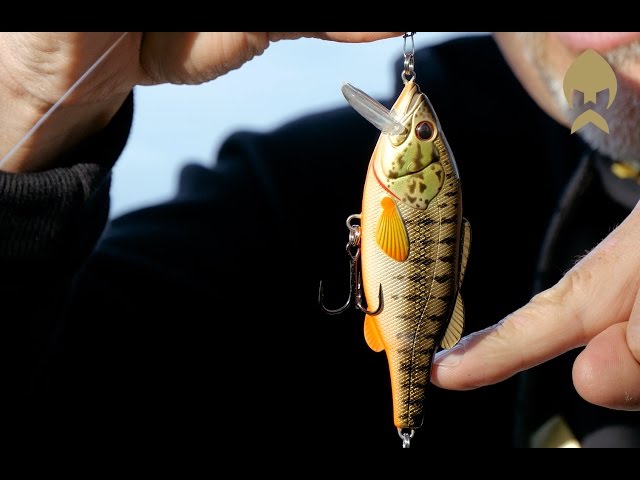 barry the bass lure Westin WS19201 5398-0038 Fishing Equipment Sports & Outdoors Zuris best striped bass producers Barry with his first lure