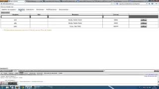 Icefaces ace:dateTimeEntry Wealth