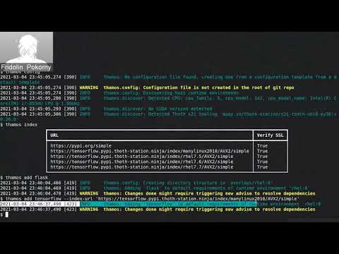 How to reliably install Python packages from different Python package indexes