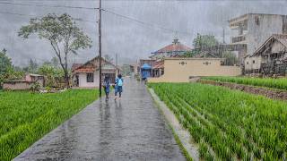 EXTREME WEATHER ⛈️⚡ MOST INTENSE HEAVY RAIN & WINDSTORM ⛈️⚡ WALKING IN AN INDONESIAN VILLAGE ⛈️⛈️🌪🌪 screenshot 2