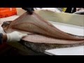 Fish Filleting- Alaskan Halibut