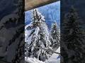 ice snow winter house #qurantranslation #ice #snowwhite #house