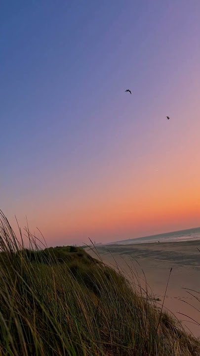 Relaxed Evening at the Beach - Sunset Vibes