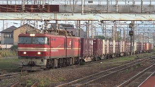 【4K】JR函館本線　EH800-5号機牽引　貨物列車　五稜郭駅到着