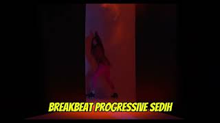 BREAKBEAT PROGRESSIVE SEDIH