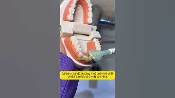 Bàn chải đánh răng 3 mặt cao cấp - lông mềm mại, chải sach chân răng - v3