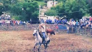 Senen salvando la vida de un jinete en el tecuan