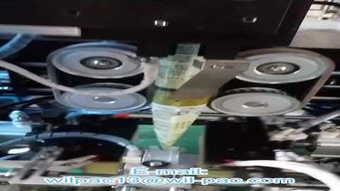 100g wheat flour powder packing video from Wilpac (ES3220 packing machine)