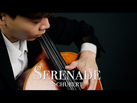 《舒伯特小夜曲 / Serenade - Schubert》舒伯特（天鵝之歌） 大提琴版本 Cello Cover 『cover by YoYo Cello』【古典名曲系列】