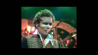 Adam And The Ants, Ants Invasion #shorts #short short