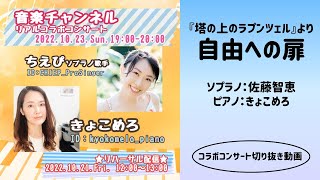 ハプニングあり?塔の上のラプンツェルより自由への扉A.メンケンTangled When Will My Life Begin A.menken　ソプラノ佐藤智恵ちえぴ