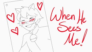 When He Sees Me (Waitress) - Miraculous Ladybug (Animatic/Animation) (Attempt #2)