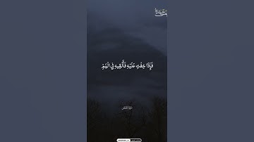 تلاوة هادئة ومريحة | قران كريم بصوت القارئ ياسر الدوسري 😴💙# راحة نفسية