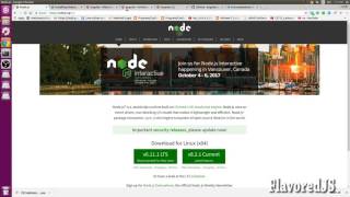 Angular 4 Tutorial -Installation of Angular on Ubuntu and Running Angular App  (Part 2)