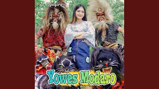 Download Lagu Yowes Modaro Download Lagu Yowes Modaro