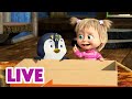 🔴 LIVE STREAM 🎬 Masha and the Bear 🧙📦 Magic from the Box 🎩🦜