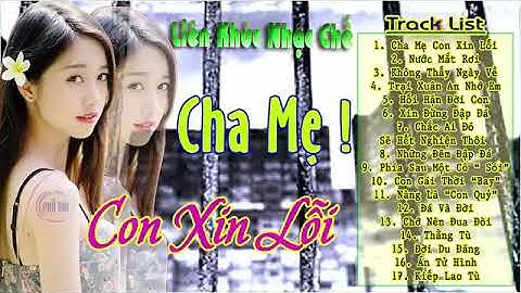 Cha mẹ con xin lỗi remix phố núi năm 2024