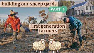 Building our Sheep yards | First Generation farmers - Australian Farming + Homesteading Vlog