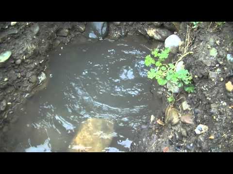 გურჯაანის წყალკანალს ვიდეო გზავნილი