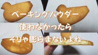 鳩サブレー第８１弾！　ベーキングパウダー不使用！