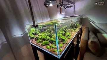 Công Nghệ Chiếu Sáng Đỉnh Cao: Đèn Bể Cá Zetlight UFO F8 PRO #denbeca #zetlight #beca